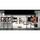 Vogels FMVW3355 3×3 Video Wall Bolt-Down Floor Stand product image