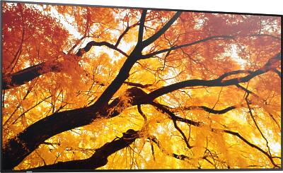 Sharp MultiSync M982